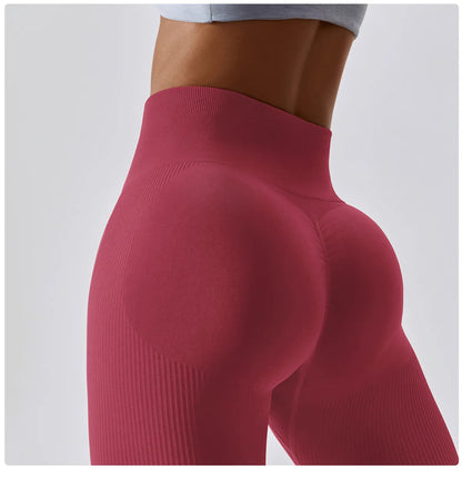 Gym yoga legging -